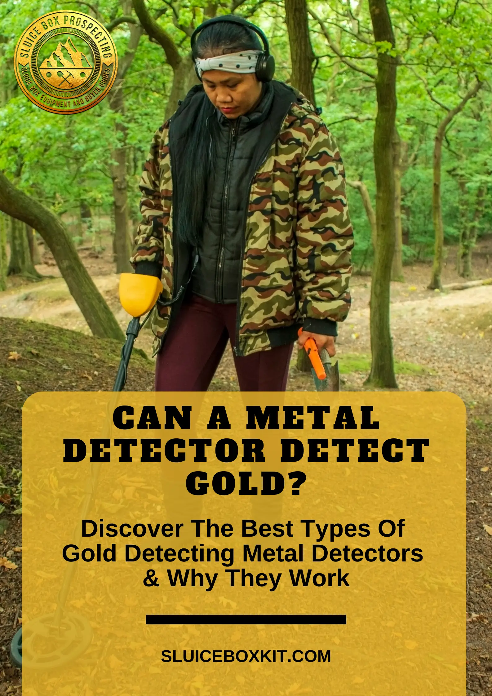 can a metal detector detect gold