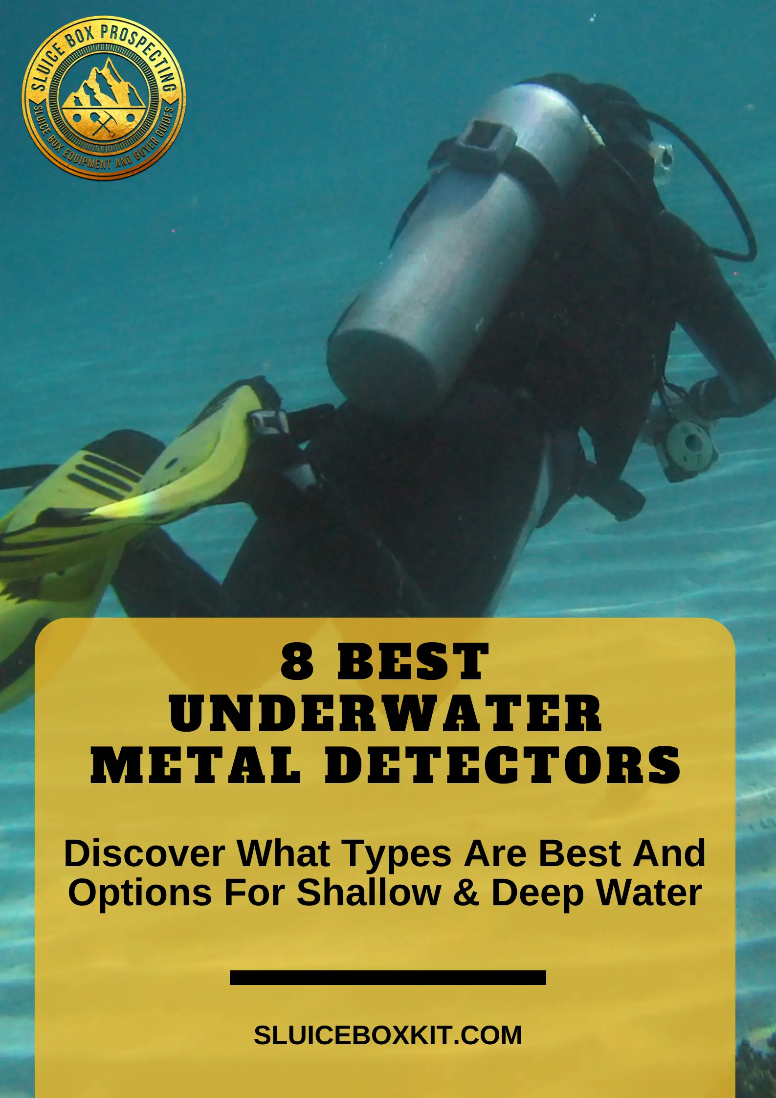 underwater metal detector